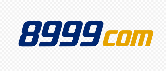 8999 com-এর লোগো